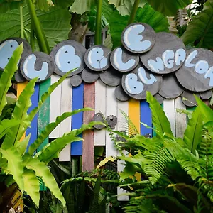 Bubble Ko Tao